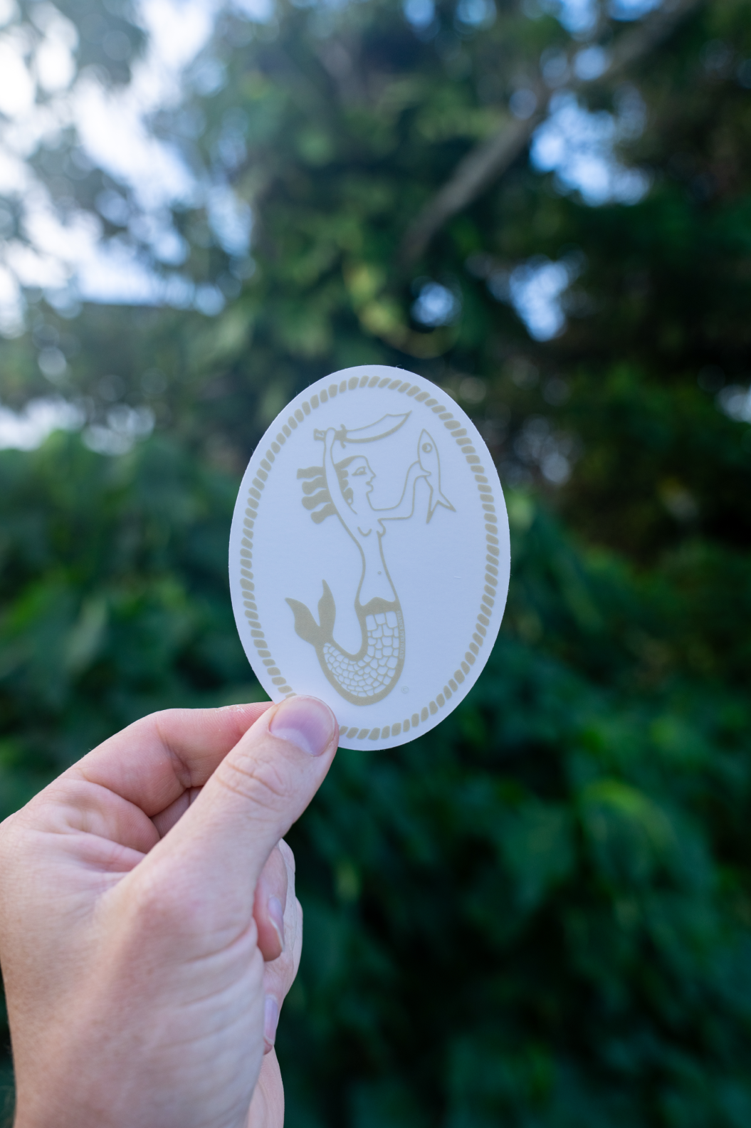 Seven Seas Frosted Sticker
