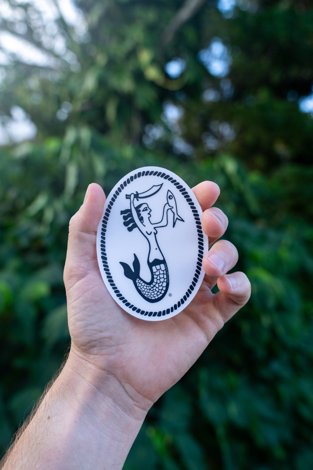 Seven Seas Frosted Sticker
